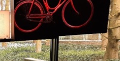 deze fiets soms.jpg