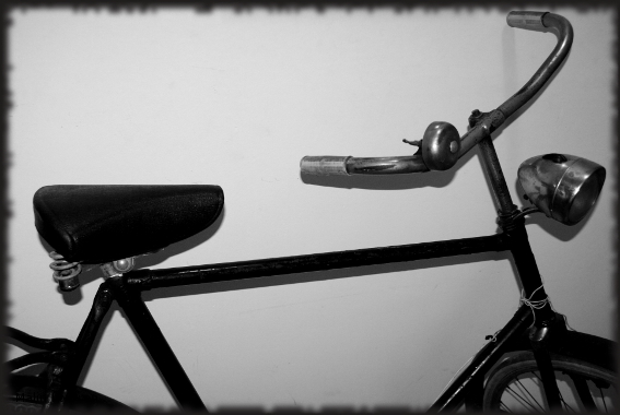 bicla3.jpg
