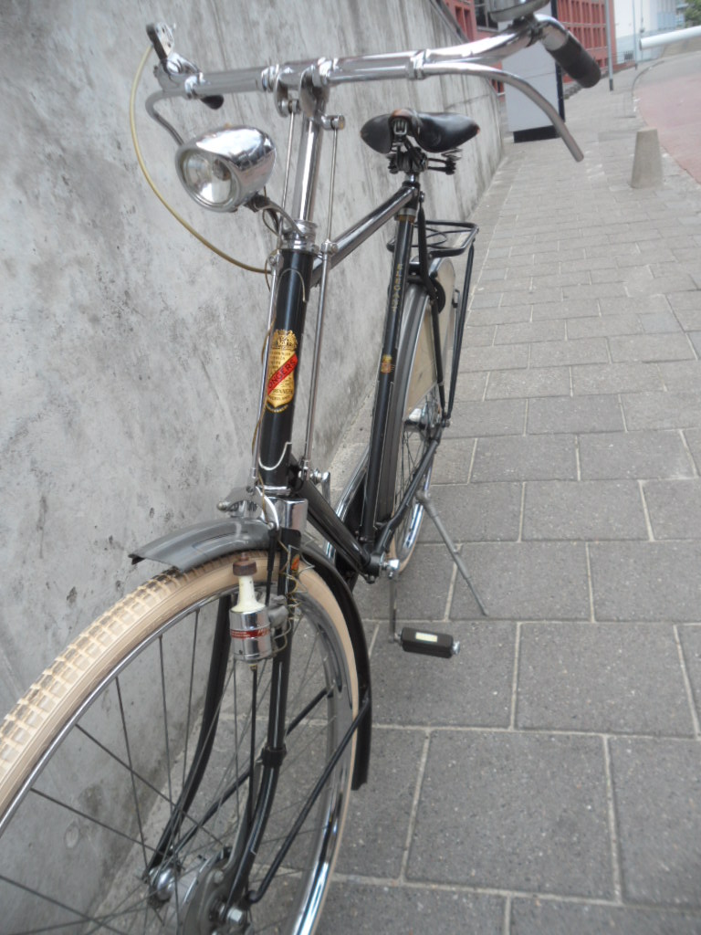 Elegant linksvoor.JPG