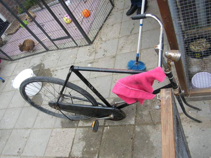 DSCF6731.jpg