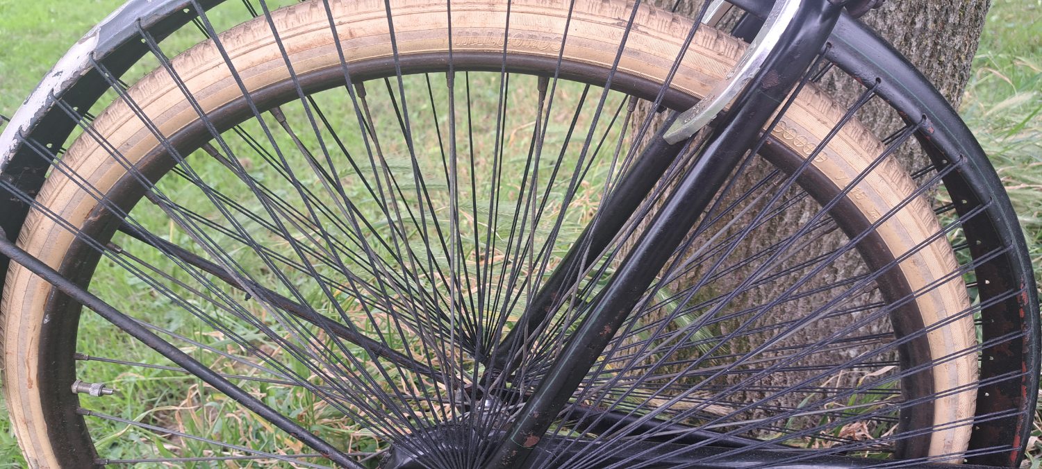 20240602_105429.jpg