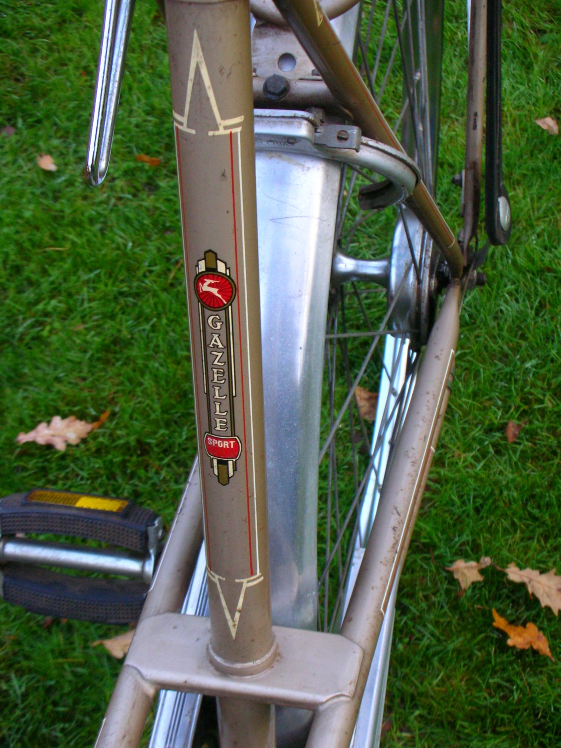 DSCN7391.JPG