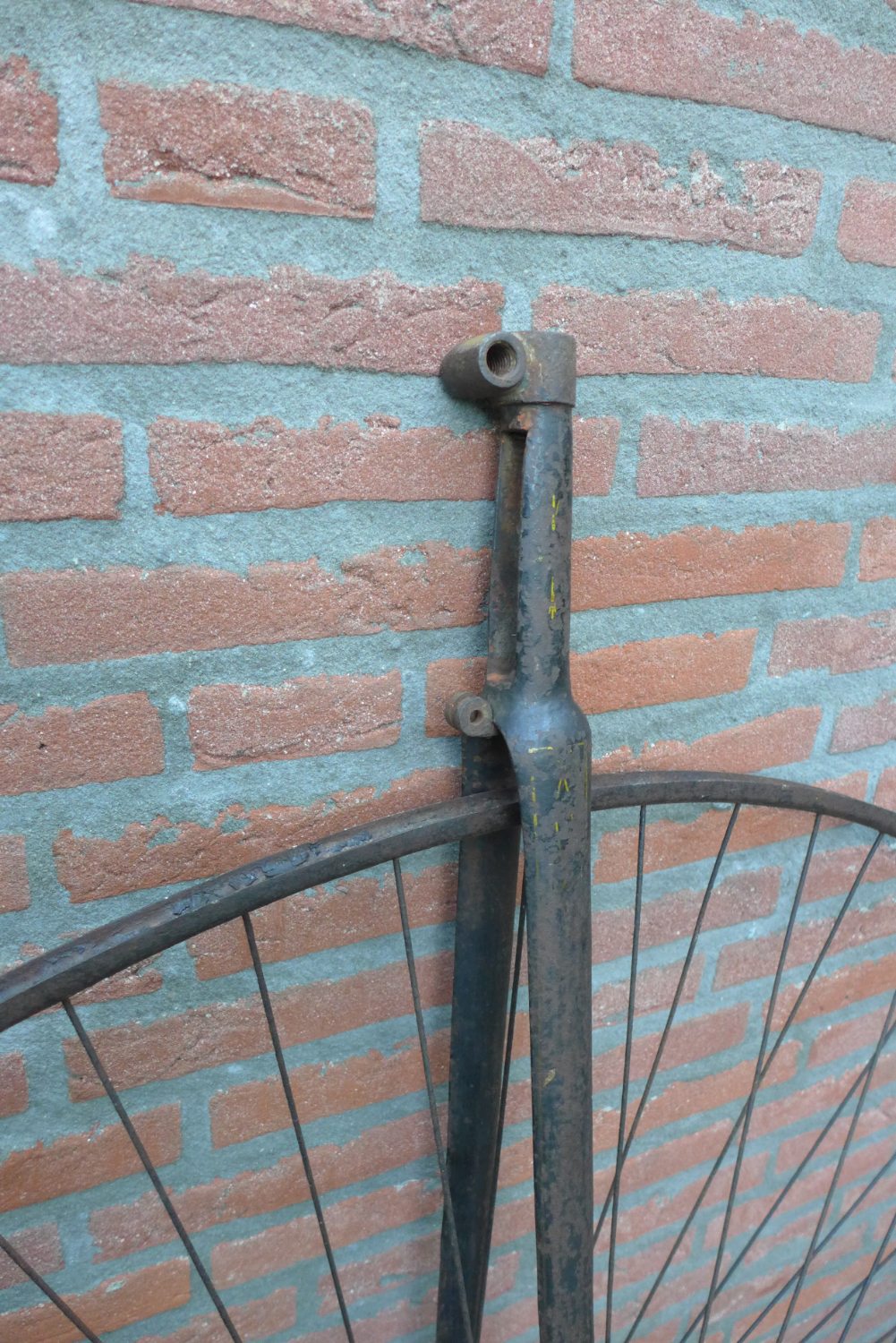 P1020503.JPG