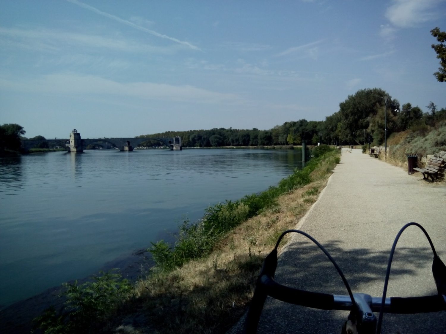 Pont d'Avignon.jpg