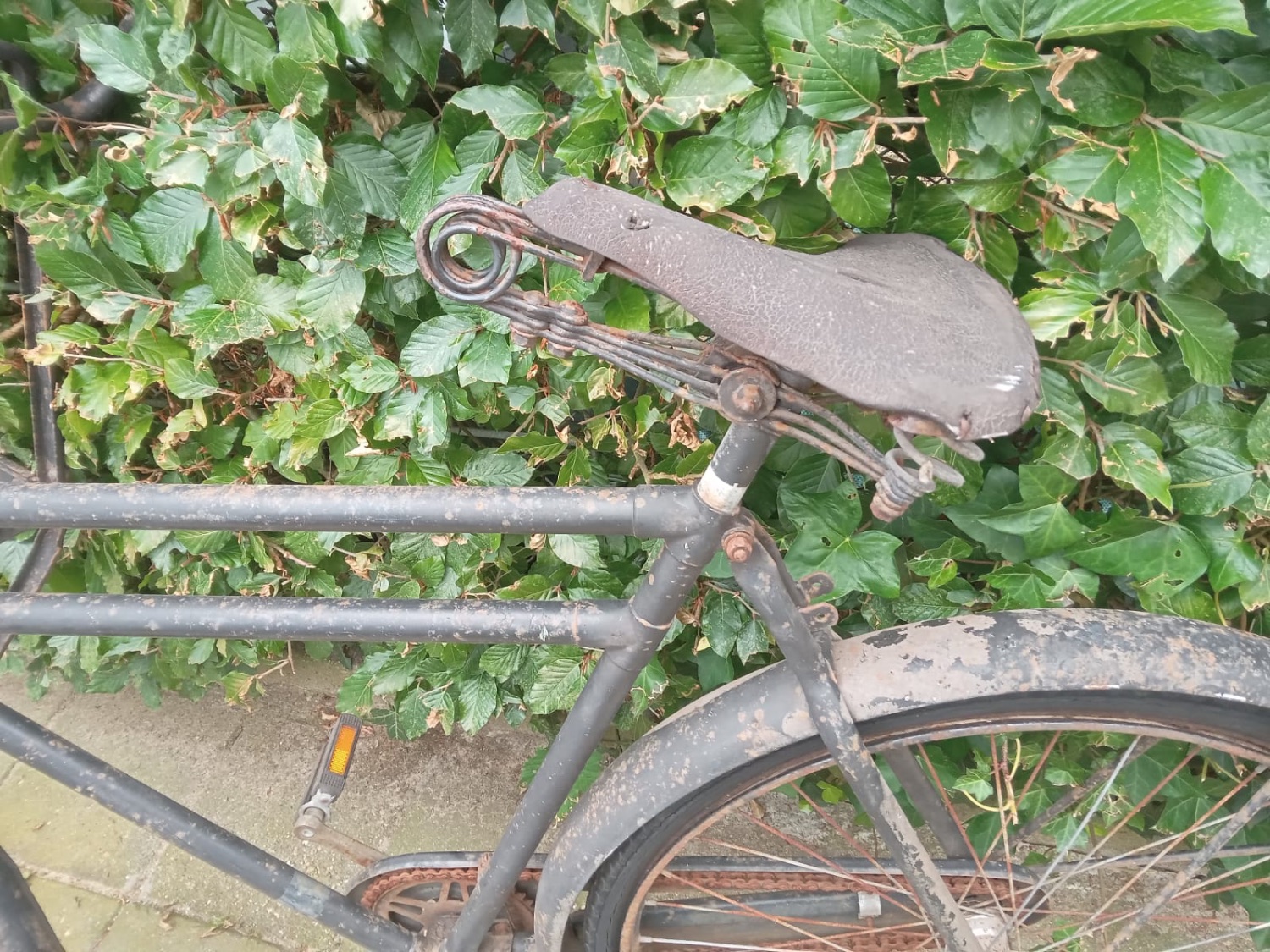 transport.3.JPG