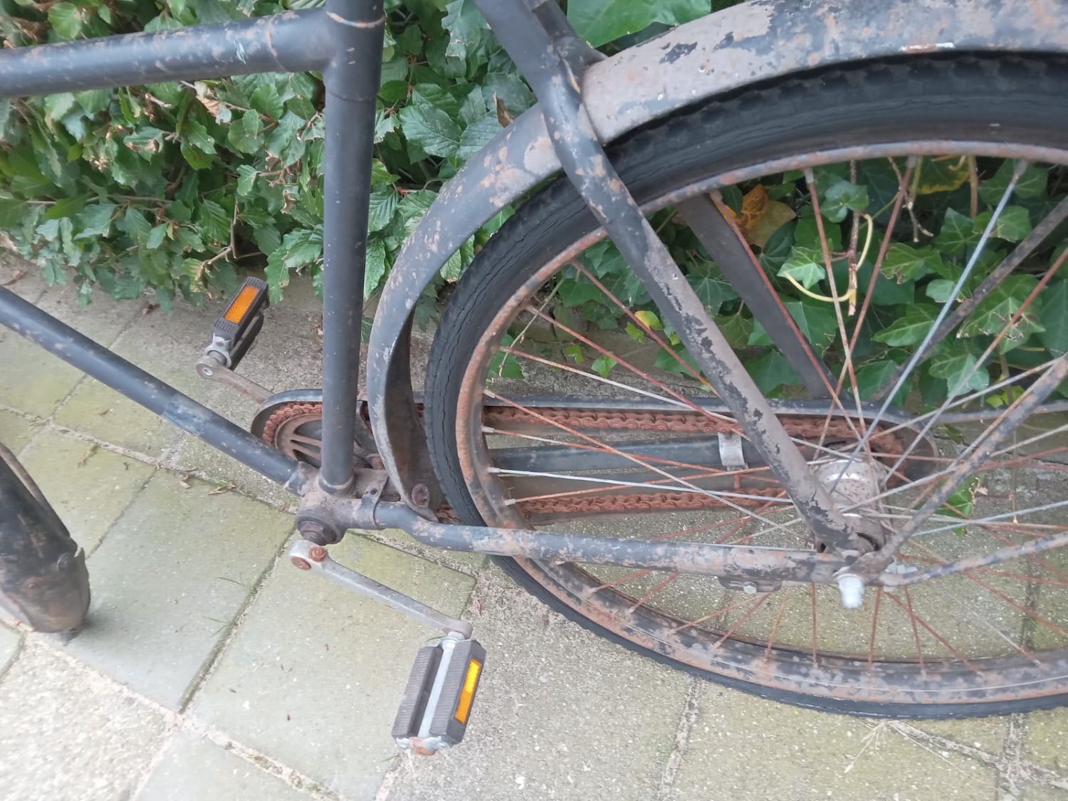 transport.4.JPG