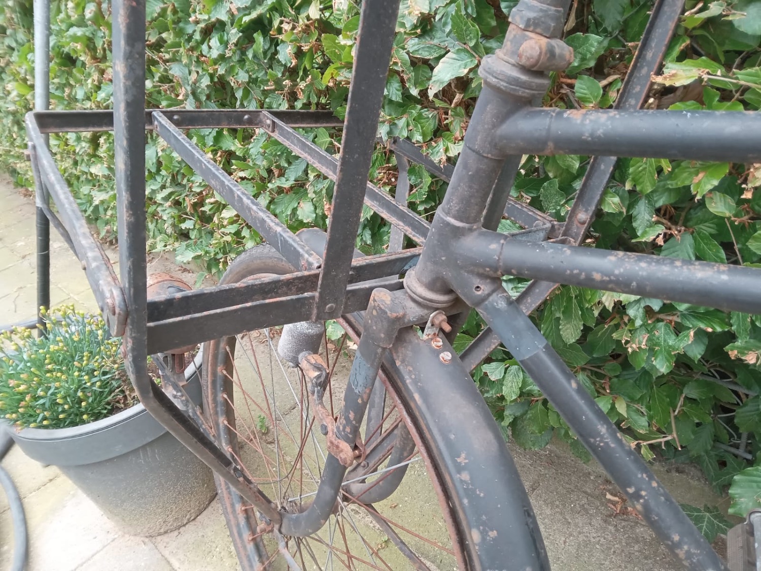 transport.5.JPG
