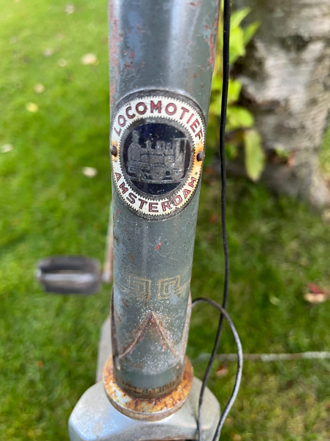 image_67197185.JPG