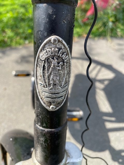 image8.jpeg