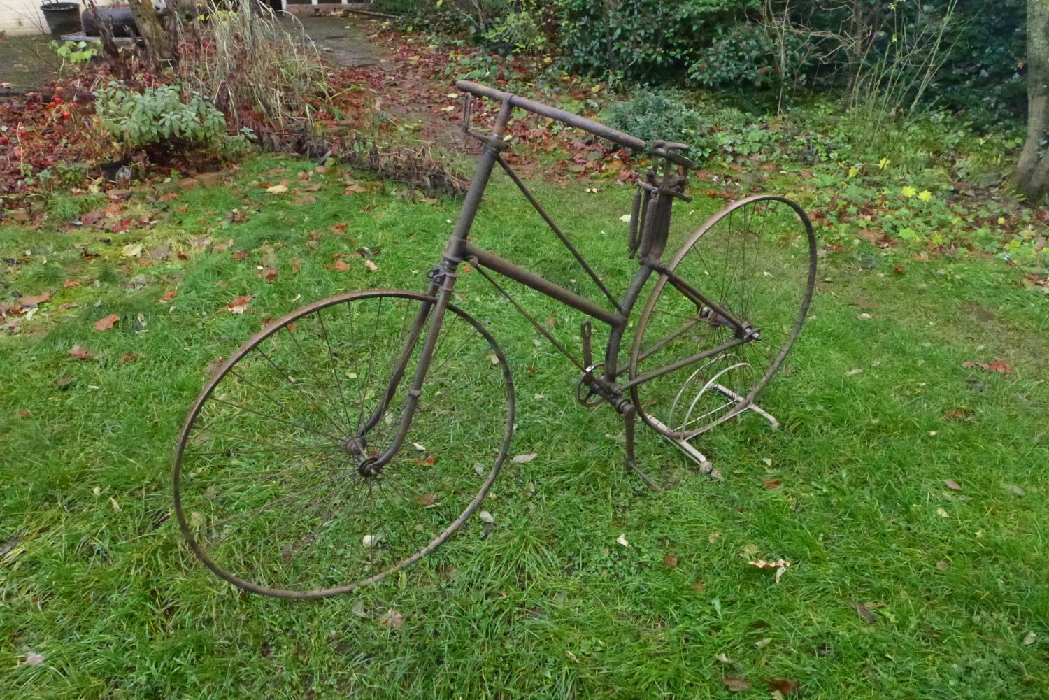 P1030204.JPG