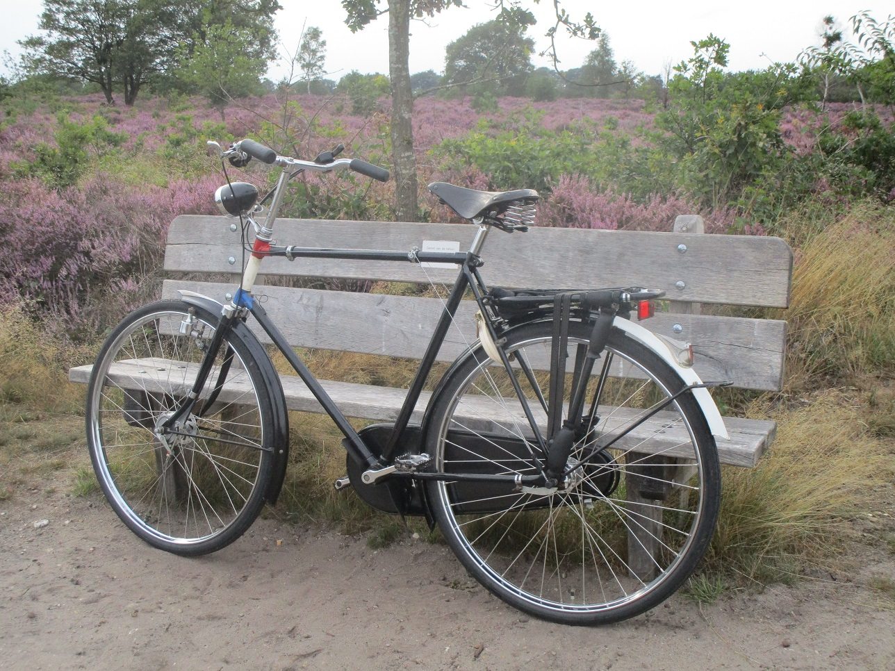 Fongers opafiets op de heide, WtC 2019 S.jpg