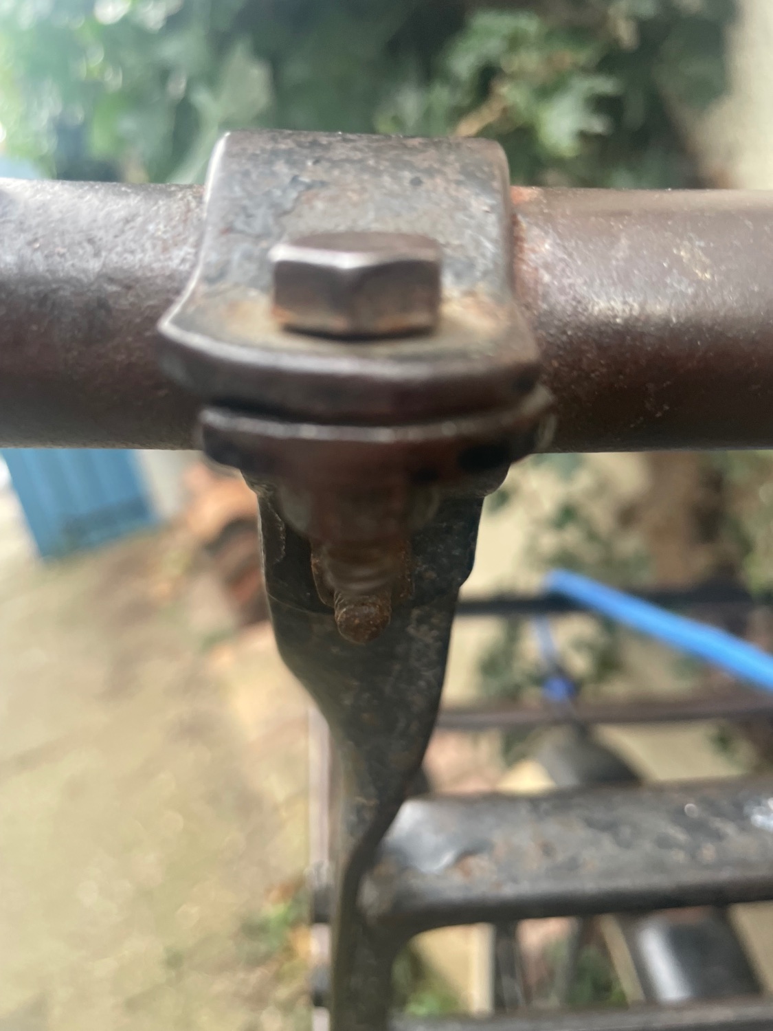 IMG_0205.jpeg