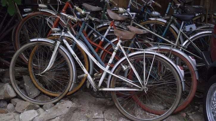 Franse fietsen.JPG