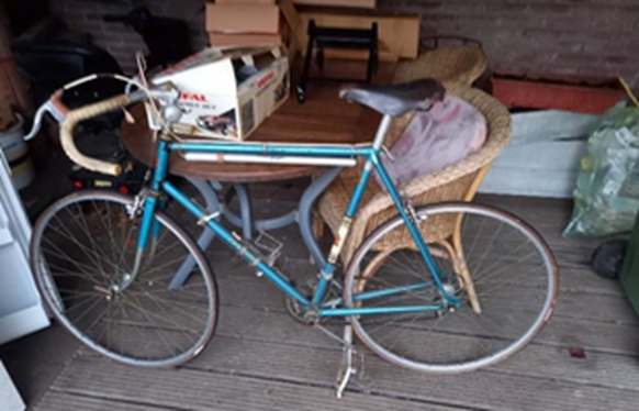 peugeot 1966.png