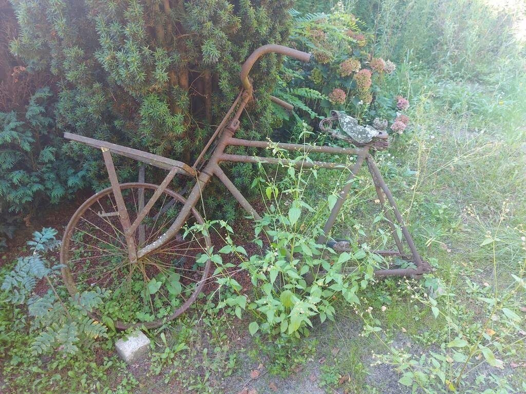 simplex tuin.jpg
