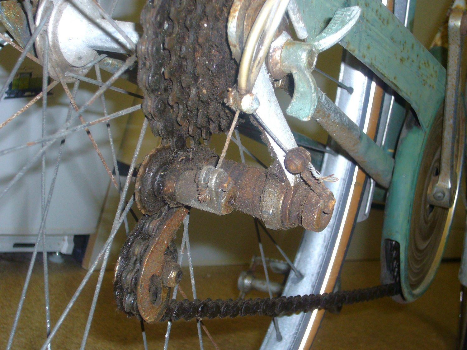 P1000575.JPG
