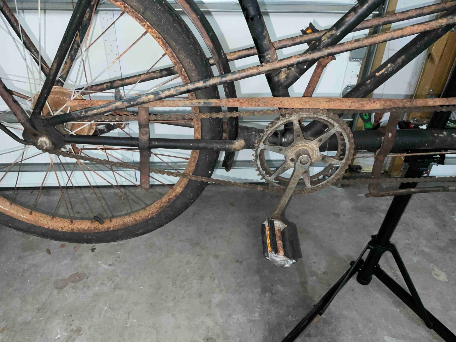 chain guard.jpg