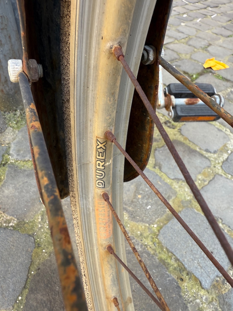 IMG_1596.jpeg