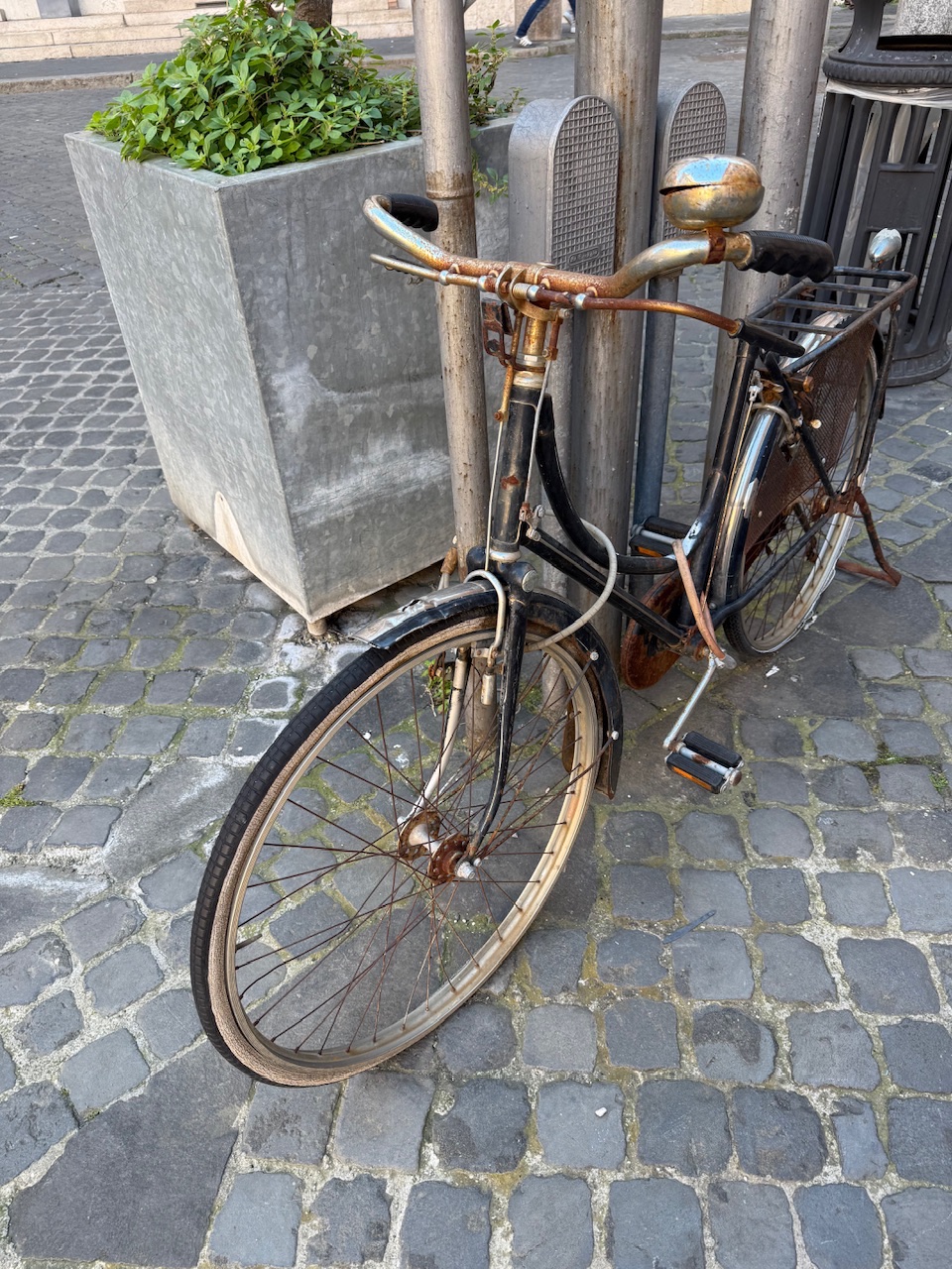 IMG_1752.jpeg