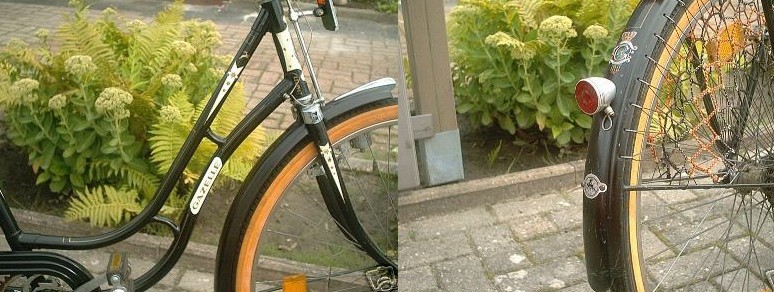 gazelle-d10a.jpg