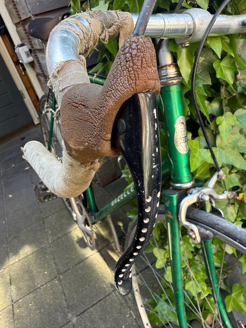 IMG_1909.jpeg