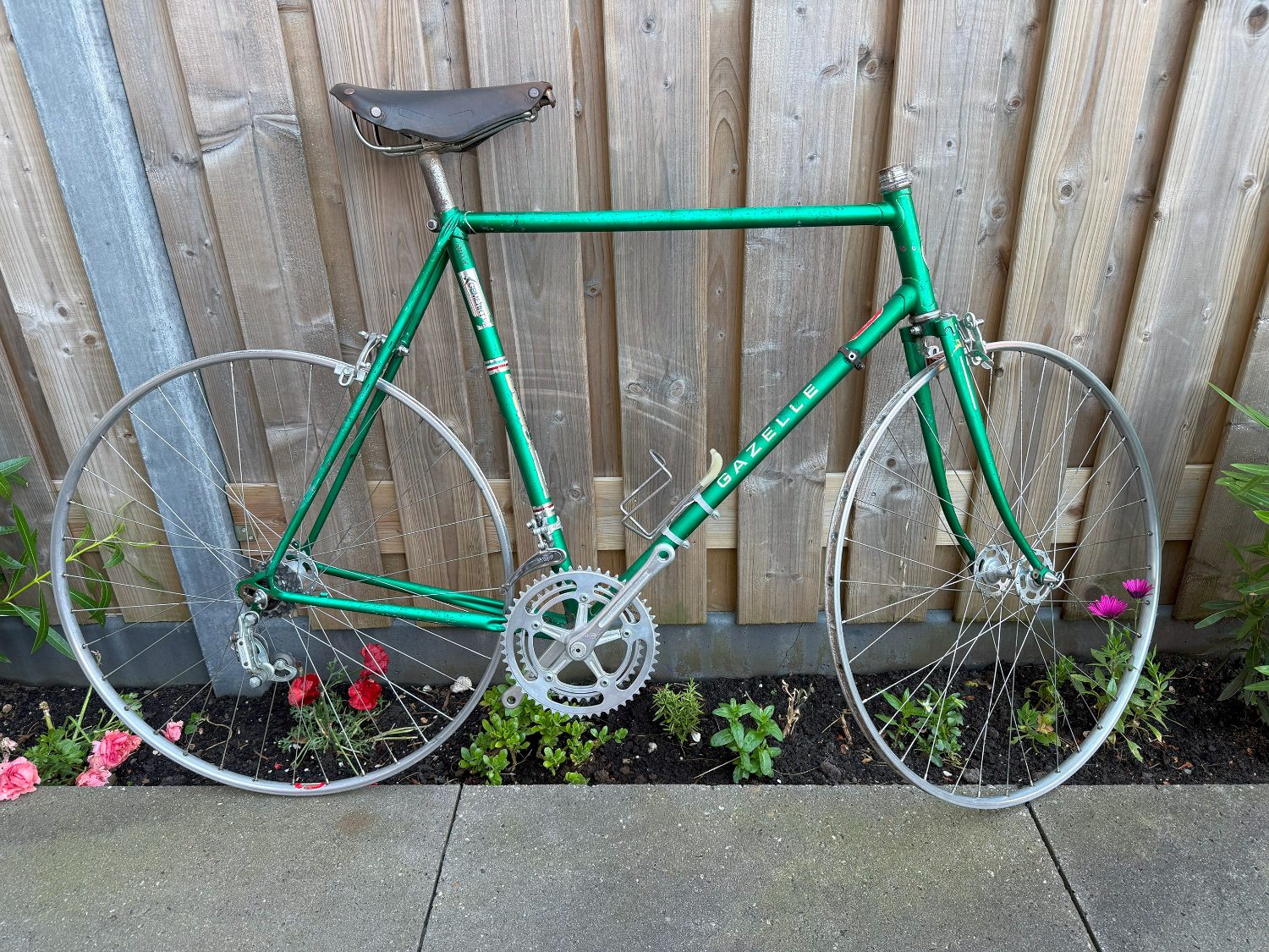 Gazelle_Race_rechterkant.jpg