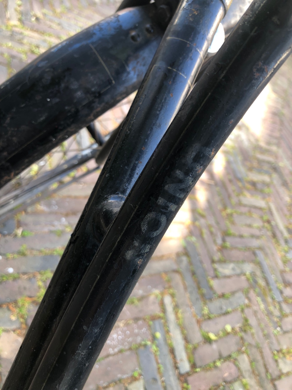 IMG_9080.jpeg