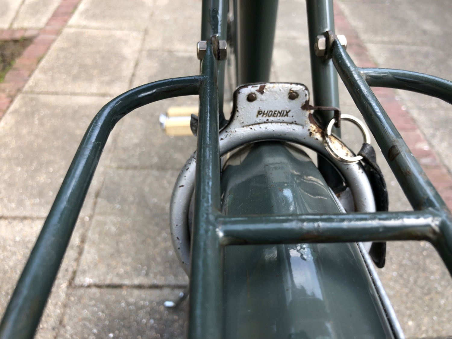 IMG_4755.jpeg