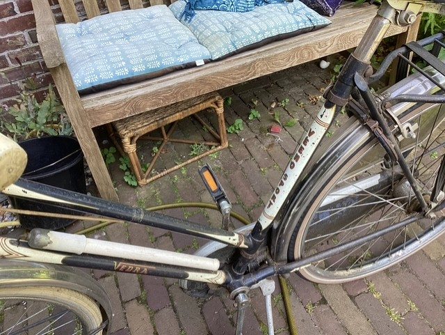 Veeno frame.jpg