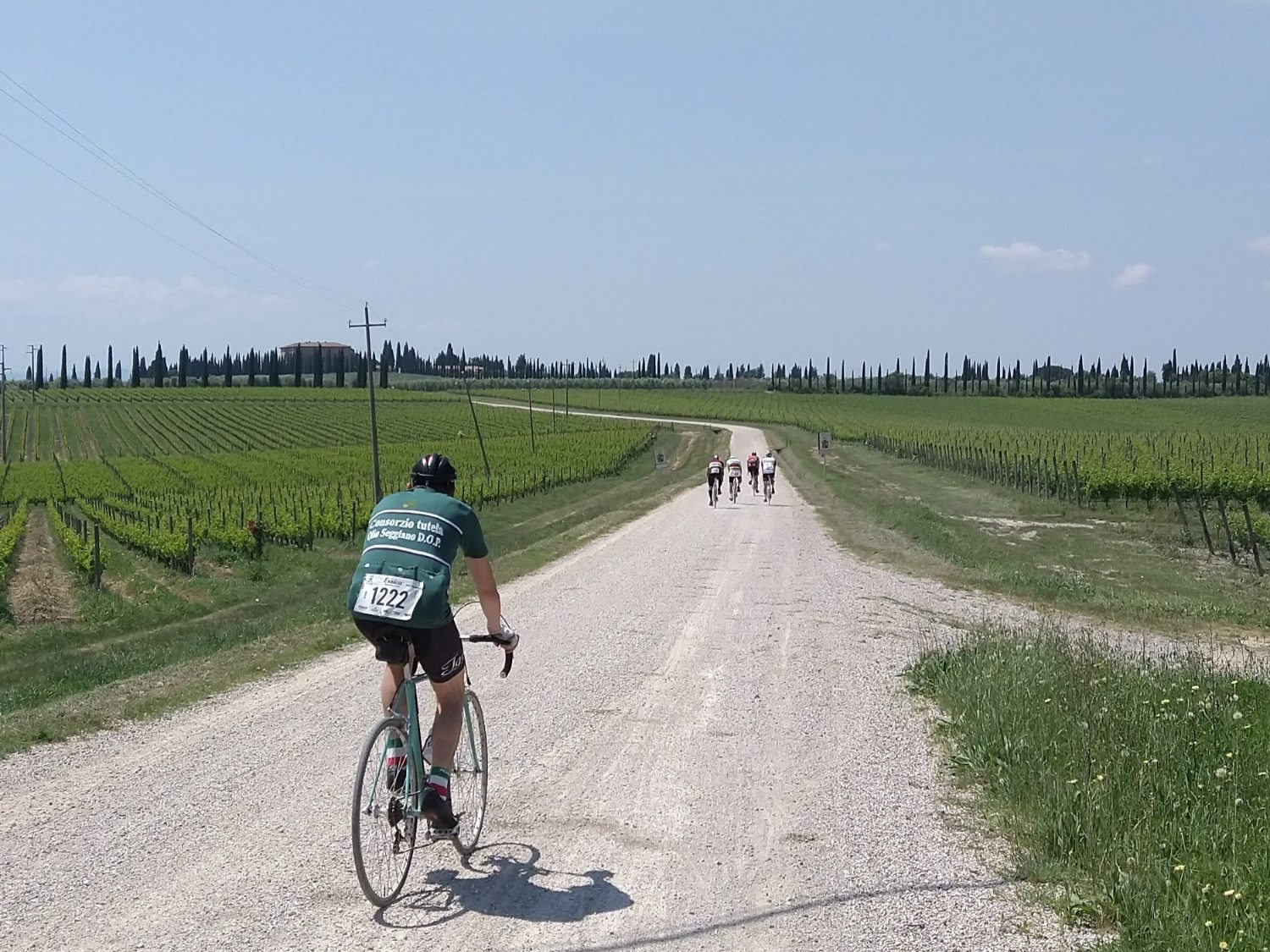 Montalcino '23.jpg