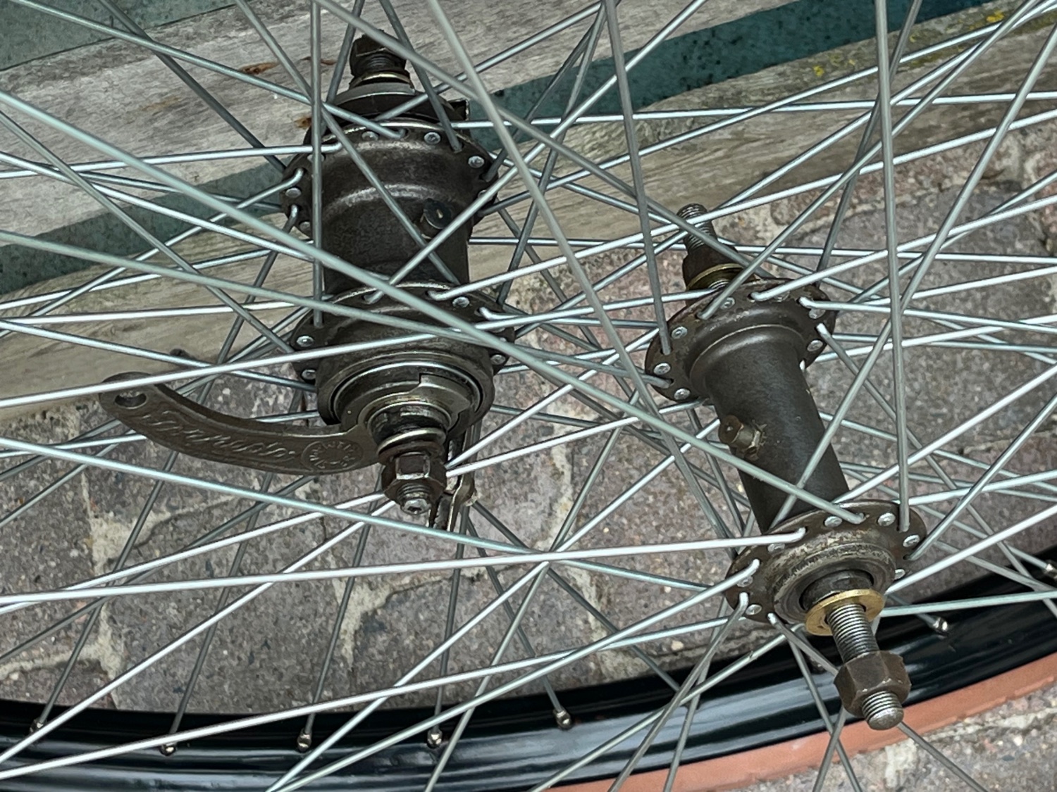 IMG_5647.jpeg