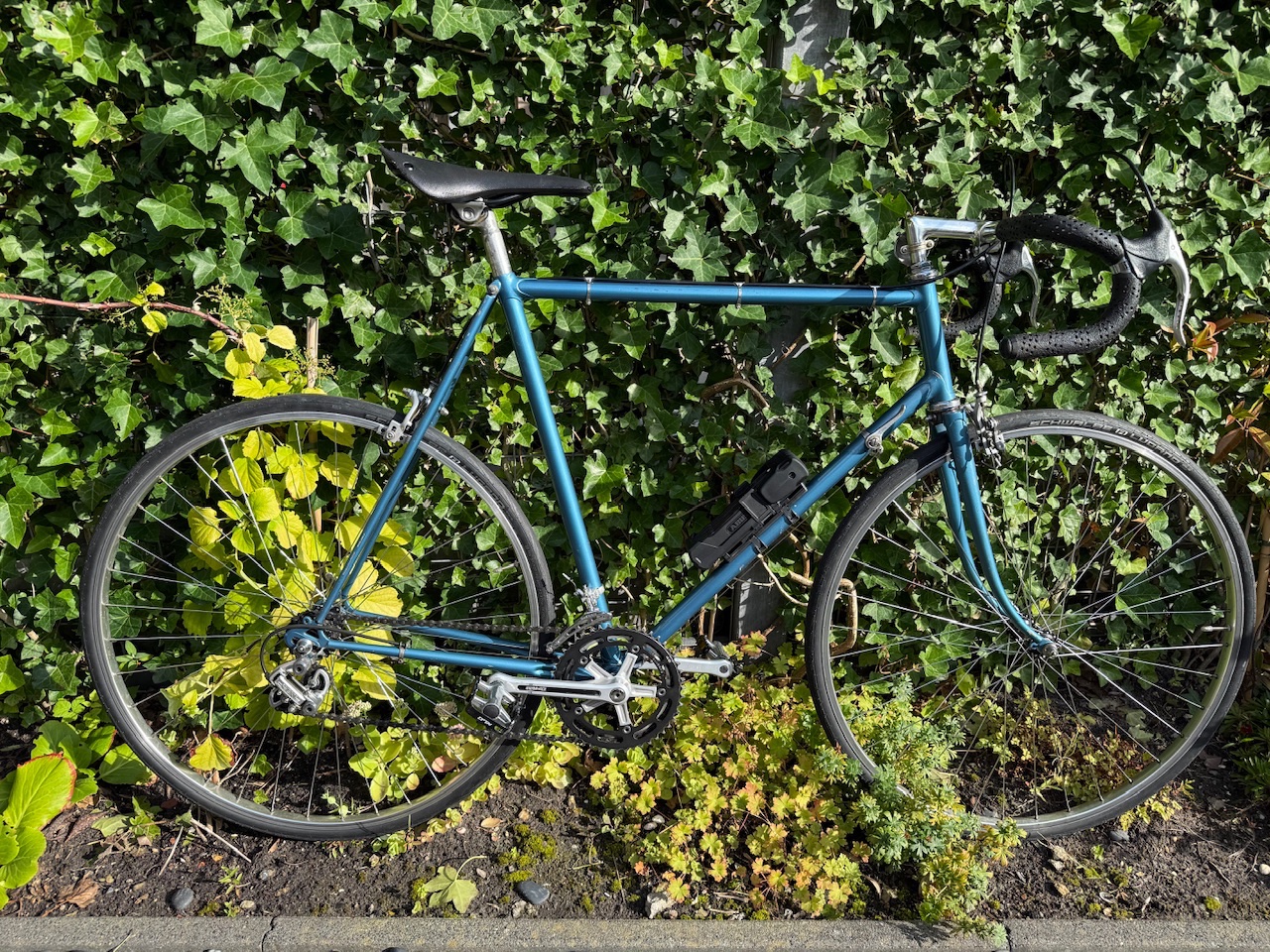 Met de juist Shimano Crane achter derailleur