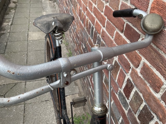 IMG_0250.jpeg