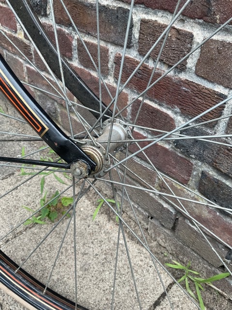 IMG_0248.jpeg