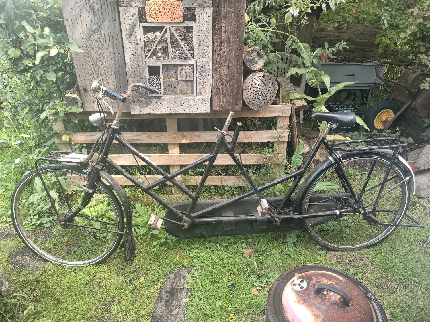 Het enigma