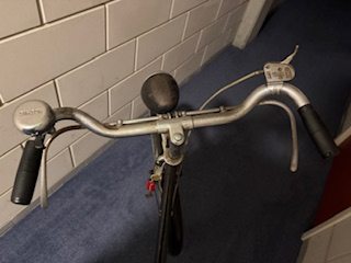 image6 (1).jpeg