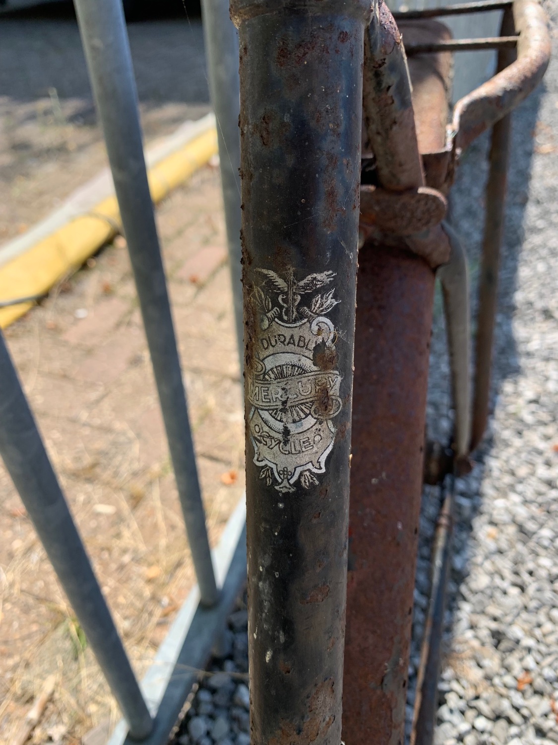 image1.jpeg