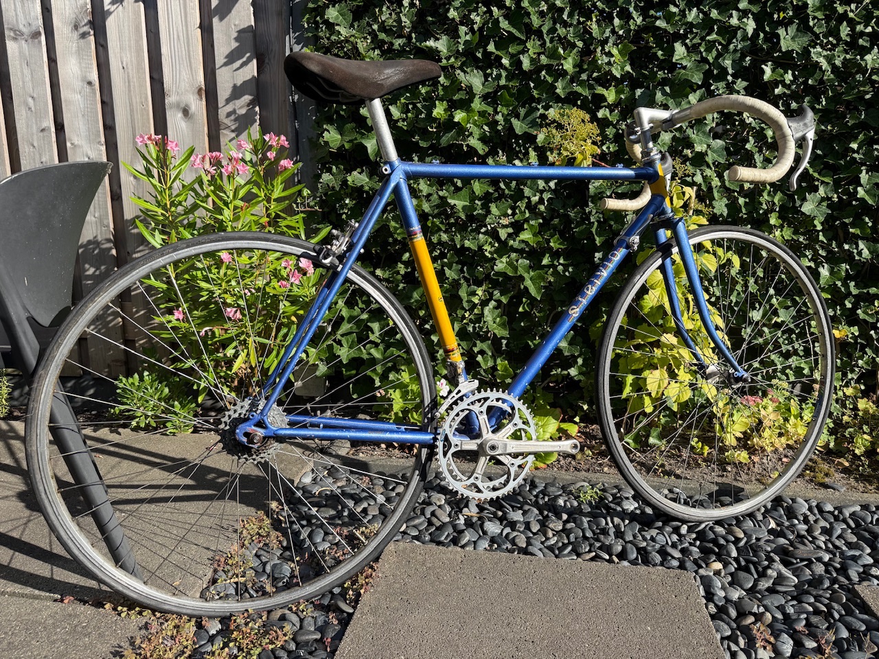 Stelvio Cicli Sport