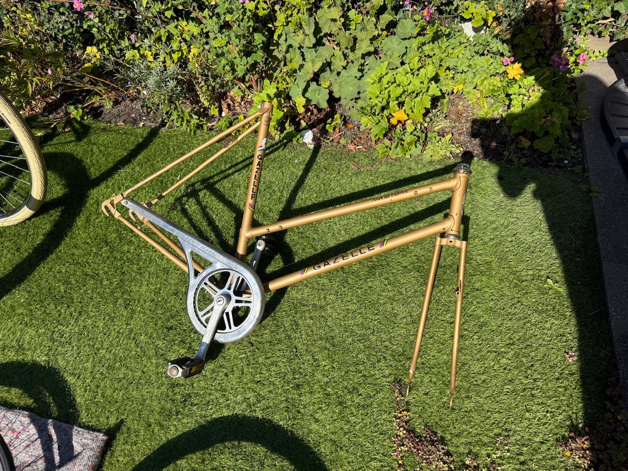 Gazelle