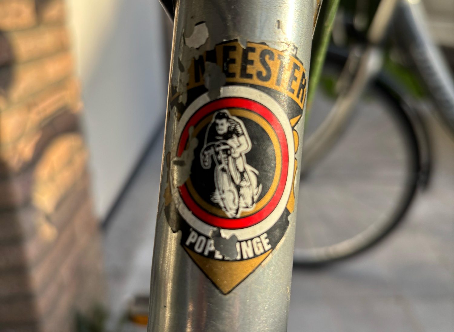 De Meester 3.jpg