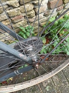 PHOTO-2025-10-26-12-44-47 (7).jpg