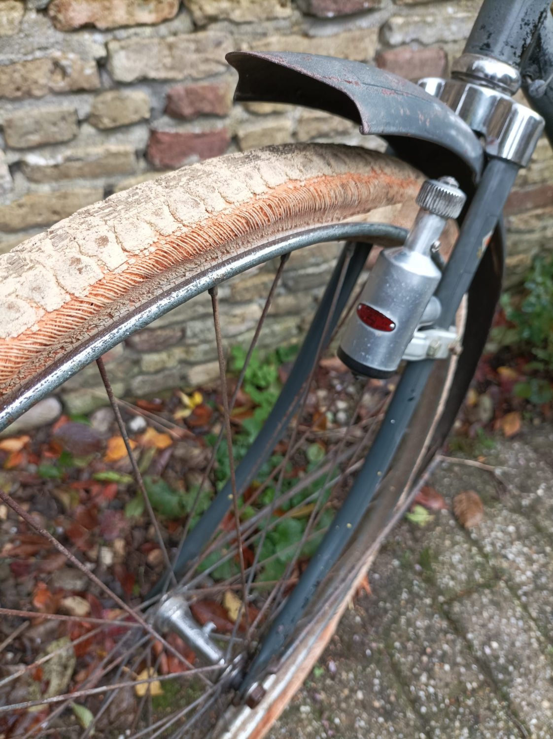 PHOTO-2025-10-26-12-44-47 (4).jpg