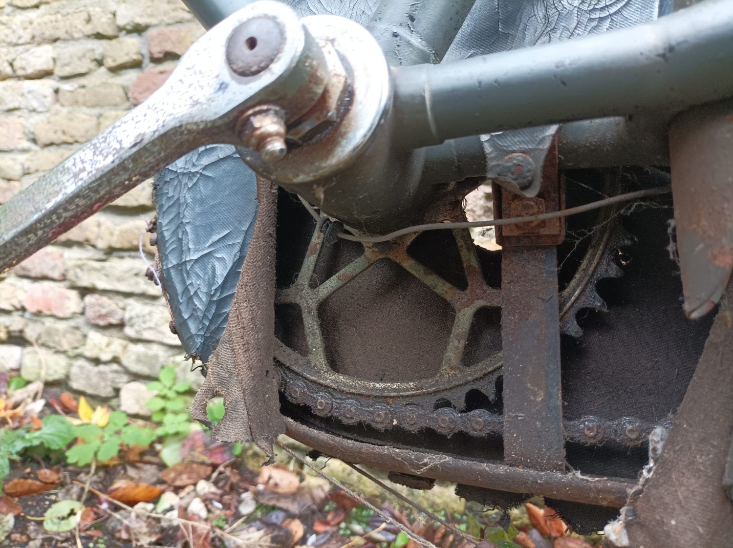 PHOTO-2025-10-30-21-57-54 (1).jpg