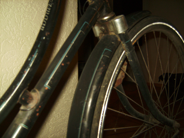 BILD2829.jpg