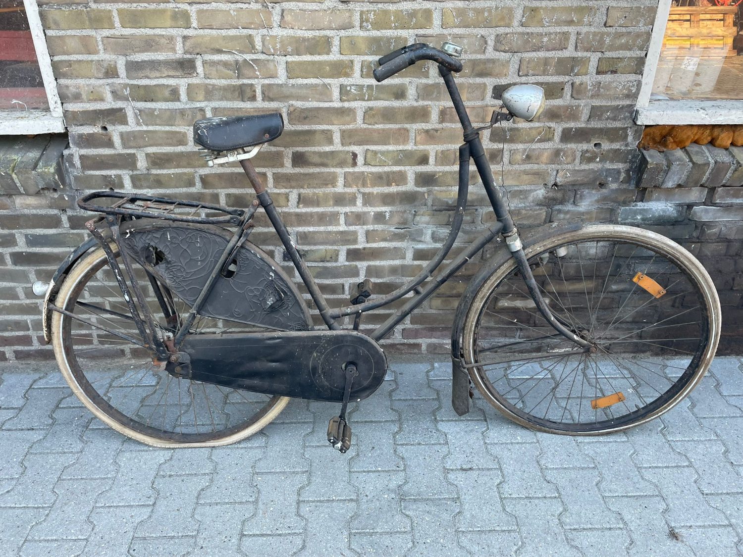 PHOTO-2025-10-24-17-22-04 (1).jpg