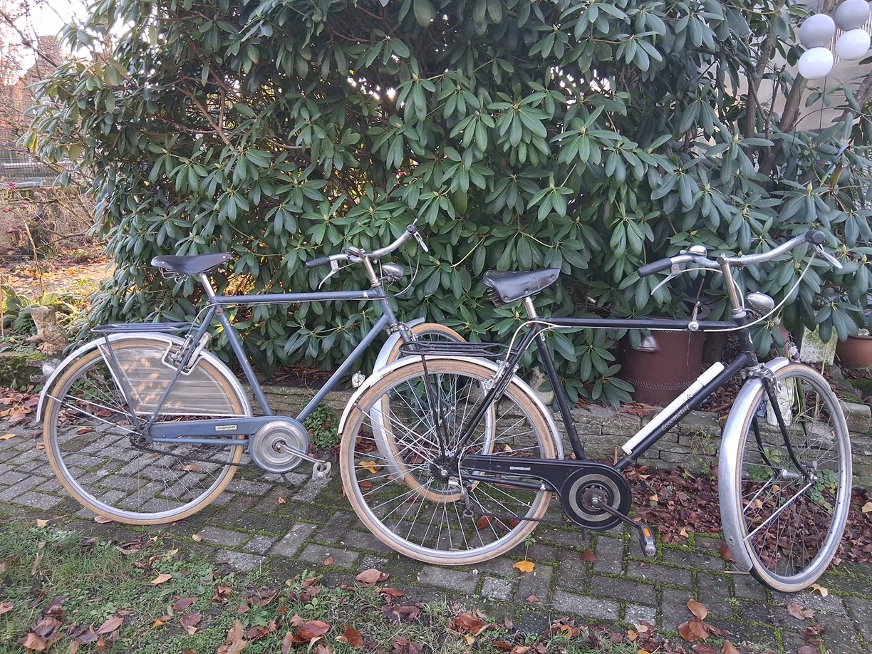 Twee Locomotief TdF.jpg