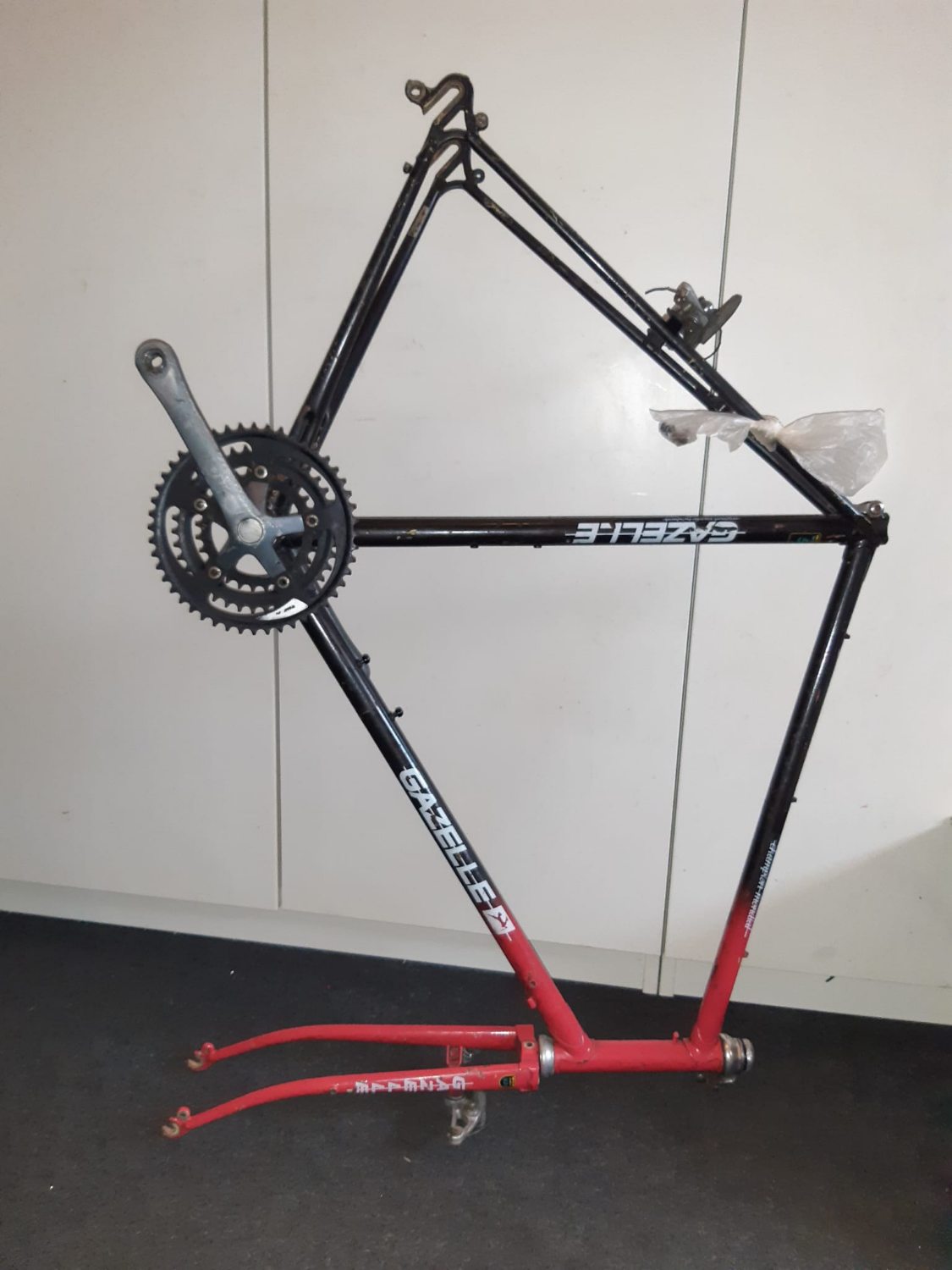 gazelle randonneur 01.jpg