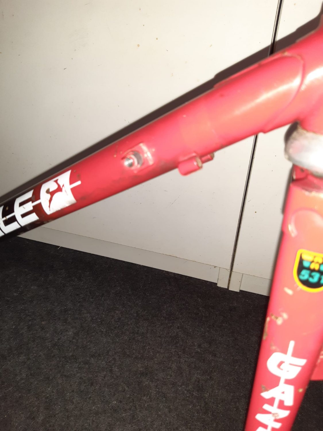 gazelle randonneur 02.jpg