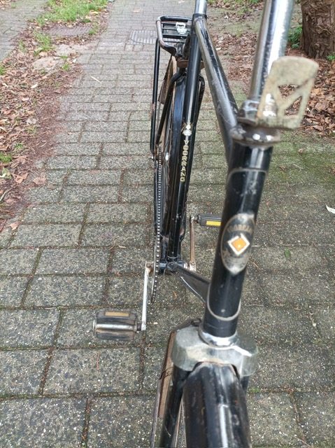 PHOTO-2025-12-11-19-41-30 (1).jpg