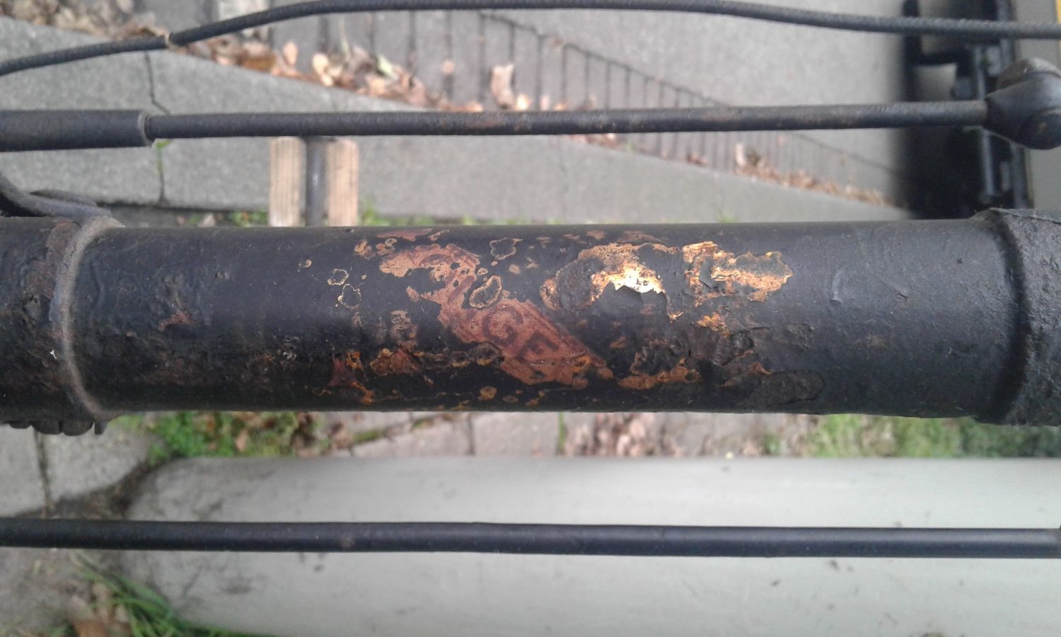 balhoofd Fongers.jpg